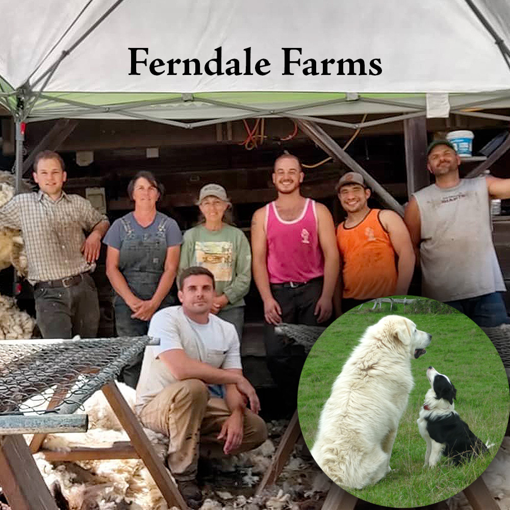 Ferndale Farms team