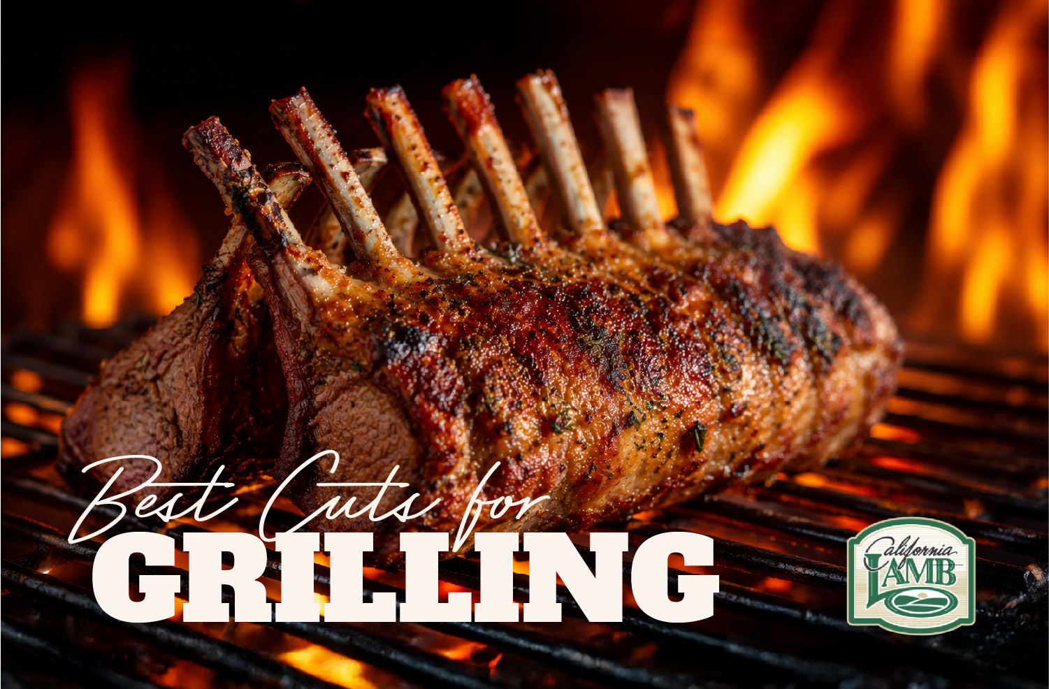 track of lamb on a grill
