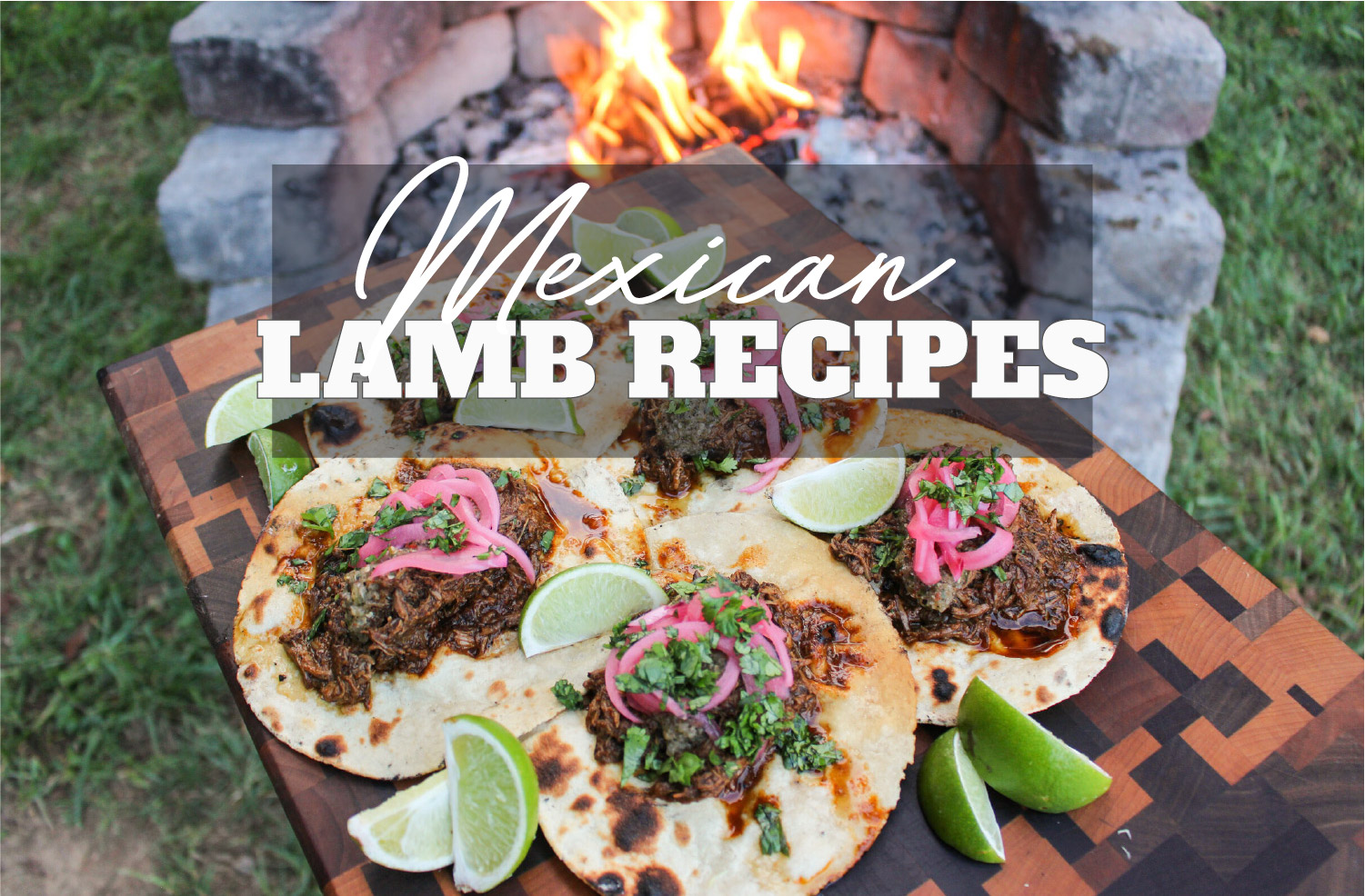 Mexican lamb dish barbacoa on tortillas