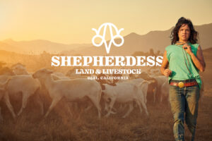 Shepherdess Land and Livestock