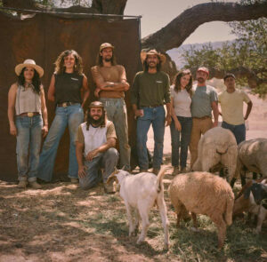 Shepherdess Land and Livestock (Photo credit: American Lamb Board)